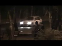 خدمات ارائه شده یکنو ...