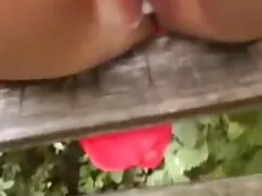 من شلیک یک عضو از دو ...