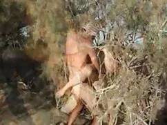 سرمایه گذاران بزرگ ب ...