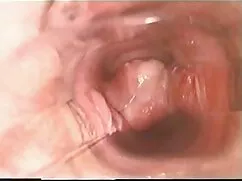 آسیایی, خانه سكس آلت ...
